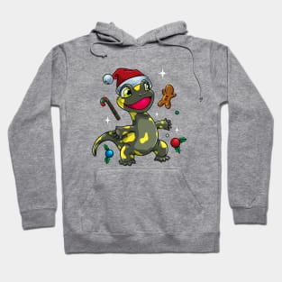 Sweet Christmas fire salamander Hoodie